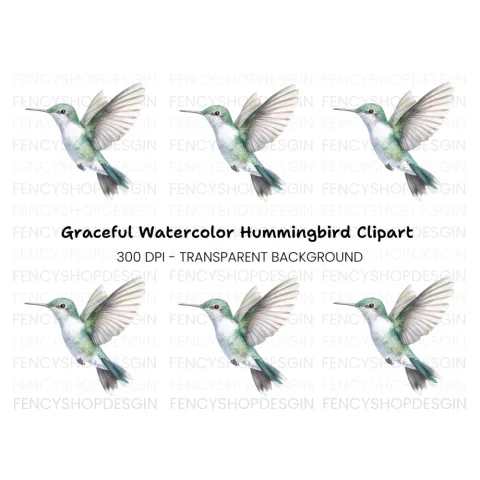 Hummingbird Clipart Bundle