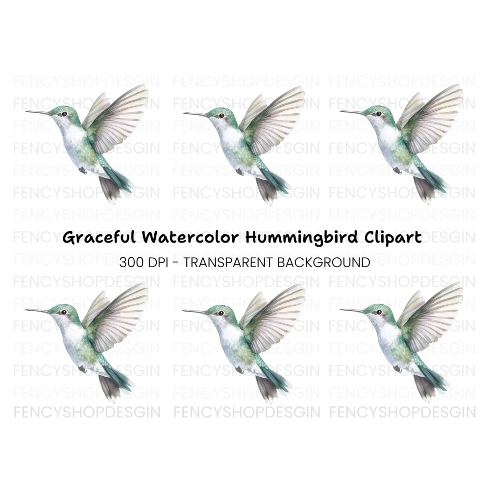 Hummingbird Clipart Bundle