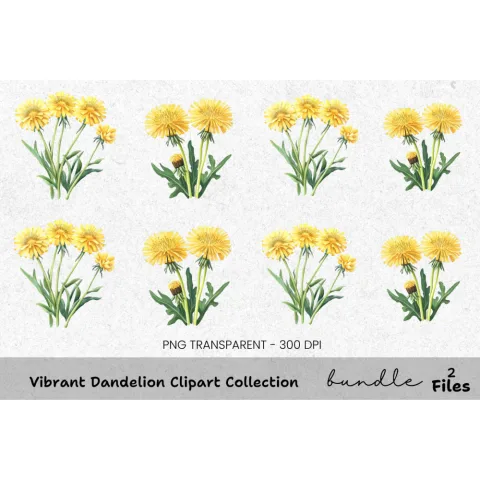 Vibrant Dandelion Clipart Bundle