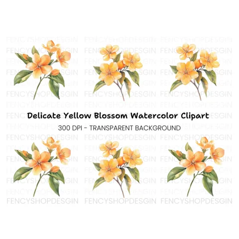Orange Blossom Clipart Bundle