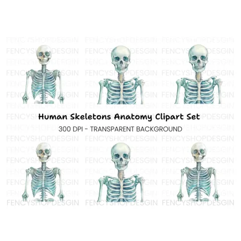 Human Skeleton Clipart Bundle