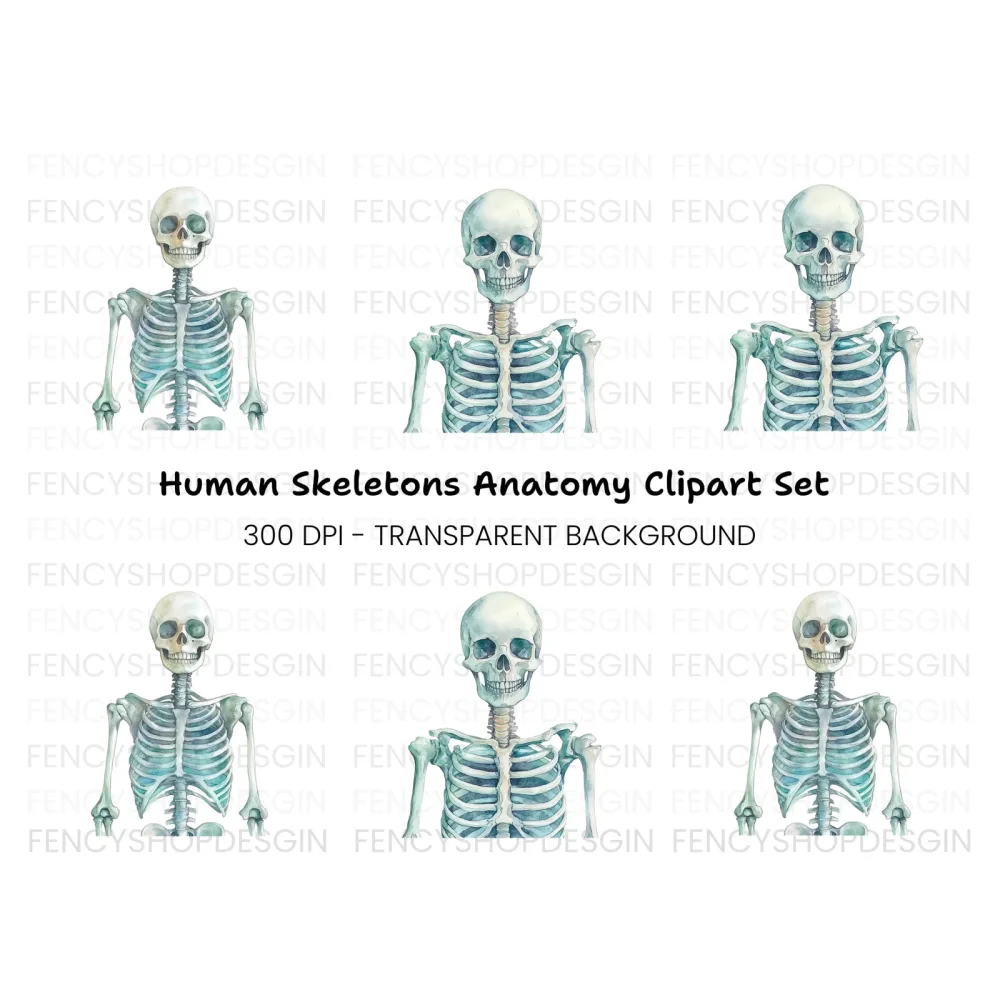 Human Skeleton Clipart Bundle