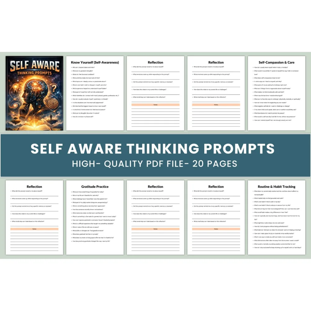 Self-Aware Thinking Prompts