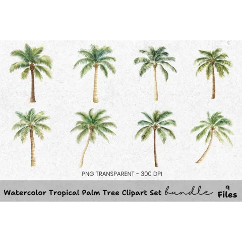 Tropical Palm Tree Clipart Bundle