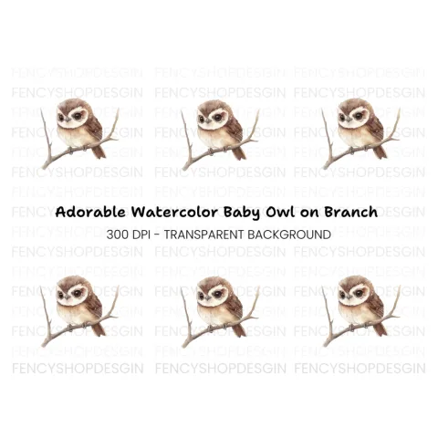 Cute Owl on Branch Clipart Bundle