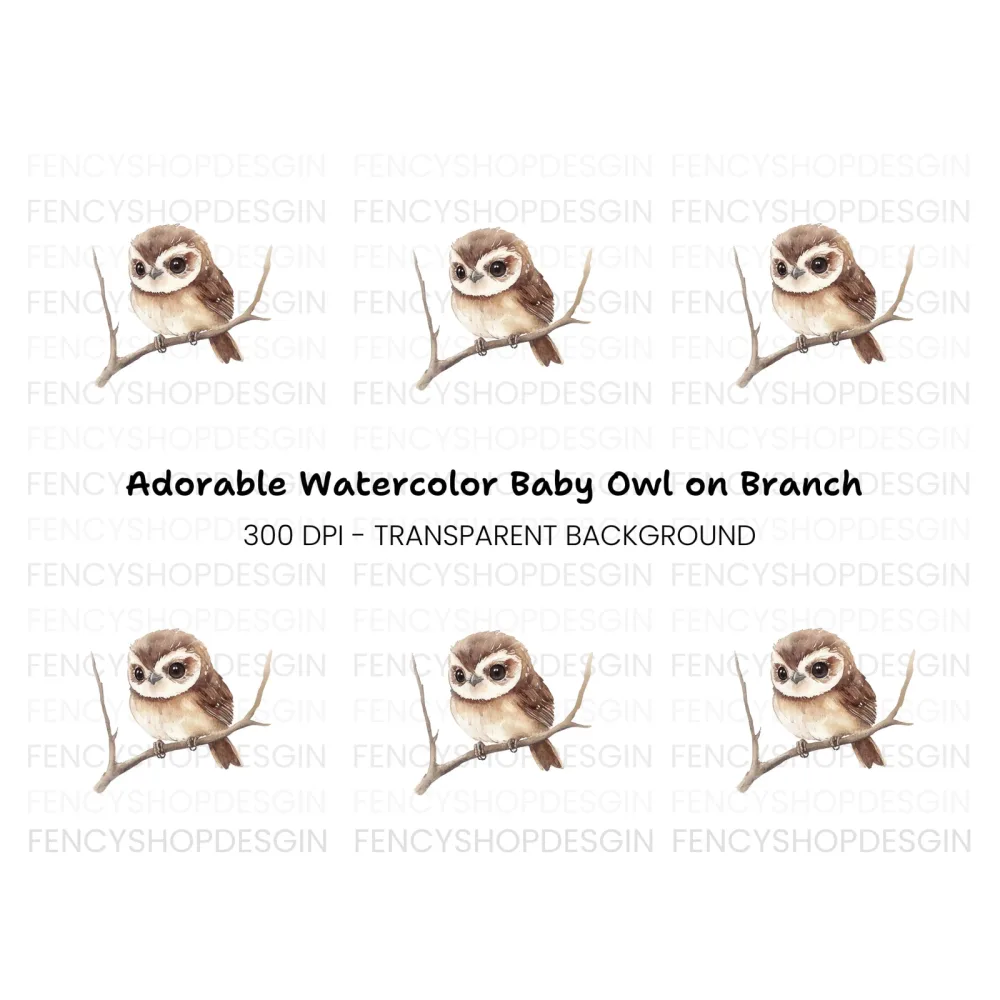 Cute Owl on Branch Clipart Bundle