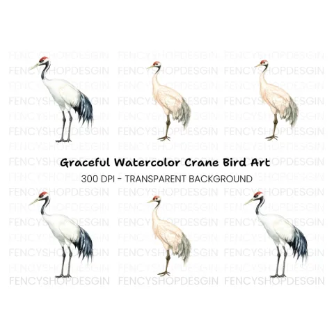 Elegant Red Crowned Crane Clipart Bundle