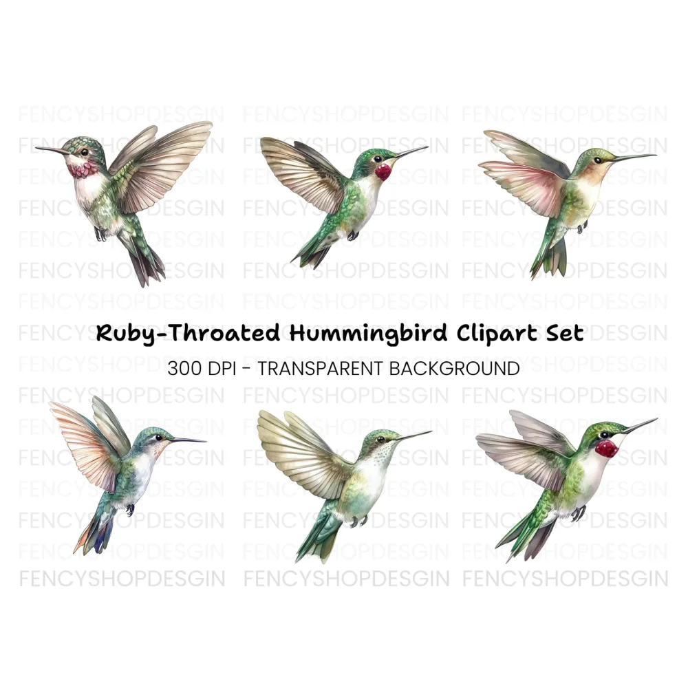 Hummingbird Clipart Bundle