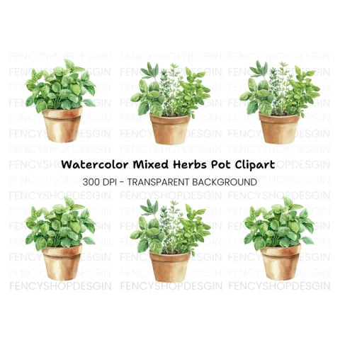 Herb Pots Clipart Bundle