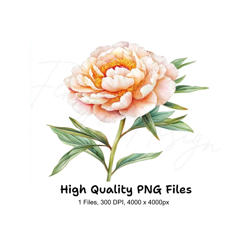 Vibrant Peach Peony Clipart Bundle