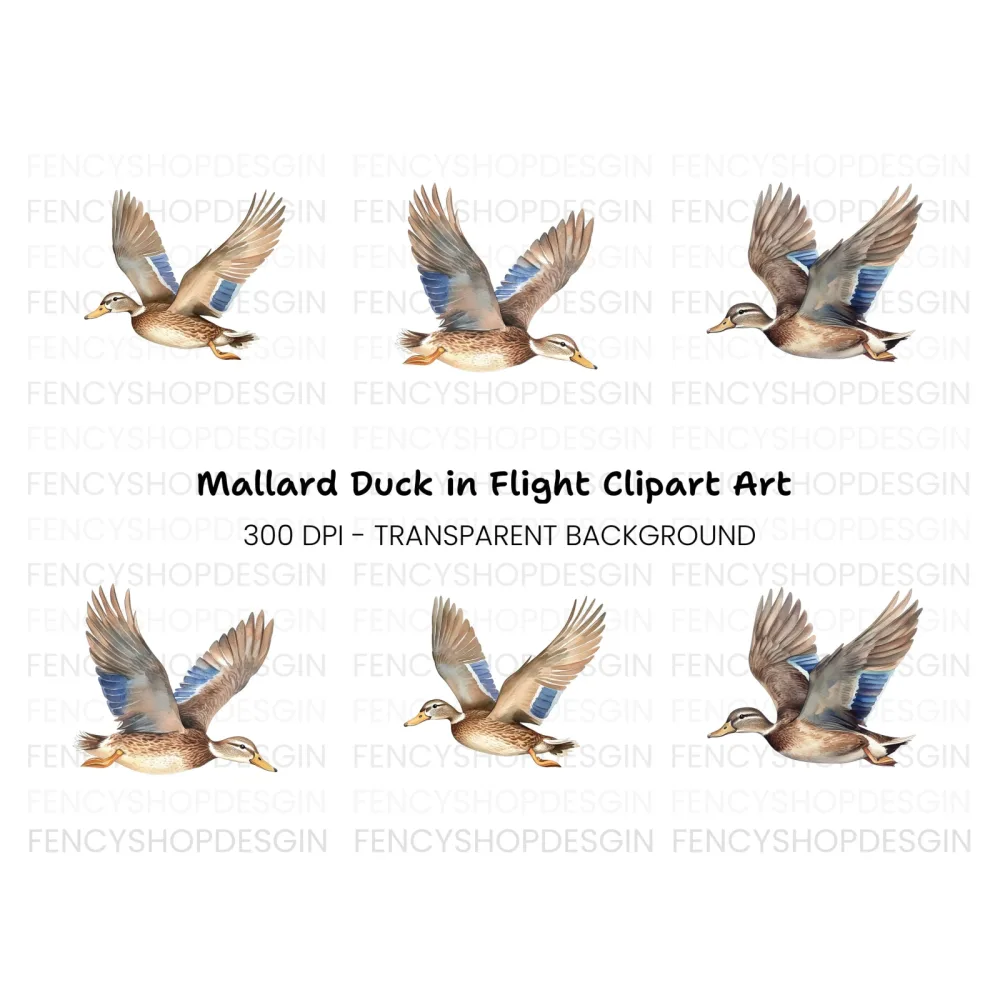 Mallard Ducks in Flight Clipart Bundle