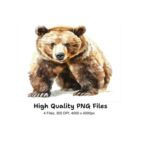 Realistic Grizzly Bear Clipart Bundle