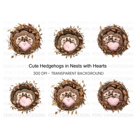 Cute Hedgehogs in Nests with Hearts Clipart Bundle